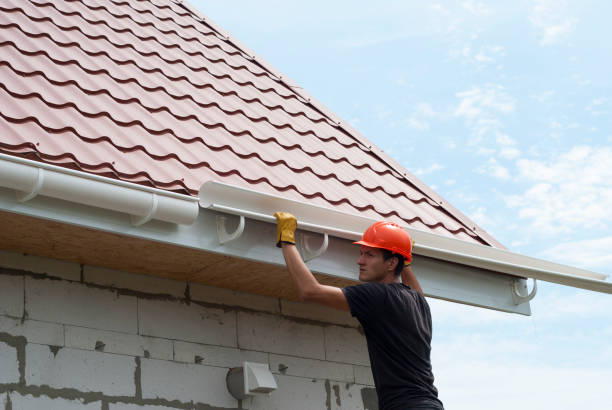 Gutter Cleaning